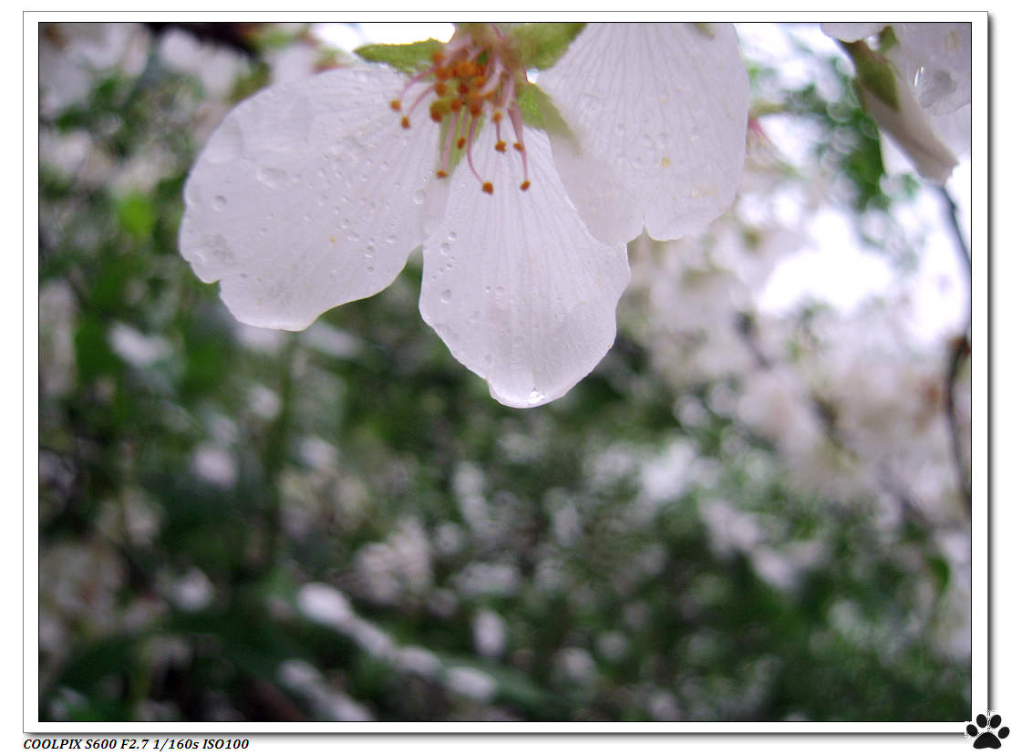 DSCN1005.JPG