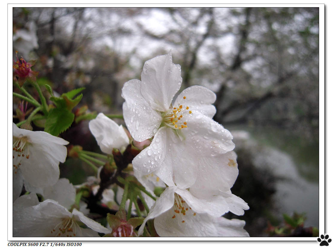 DSCN1011.JPG