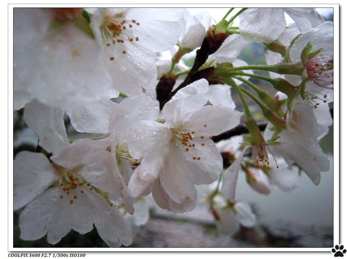 DSCN1009.JPG