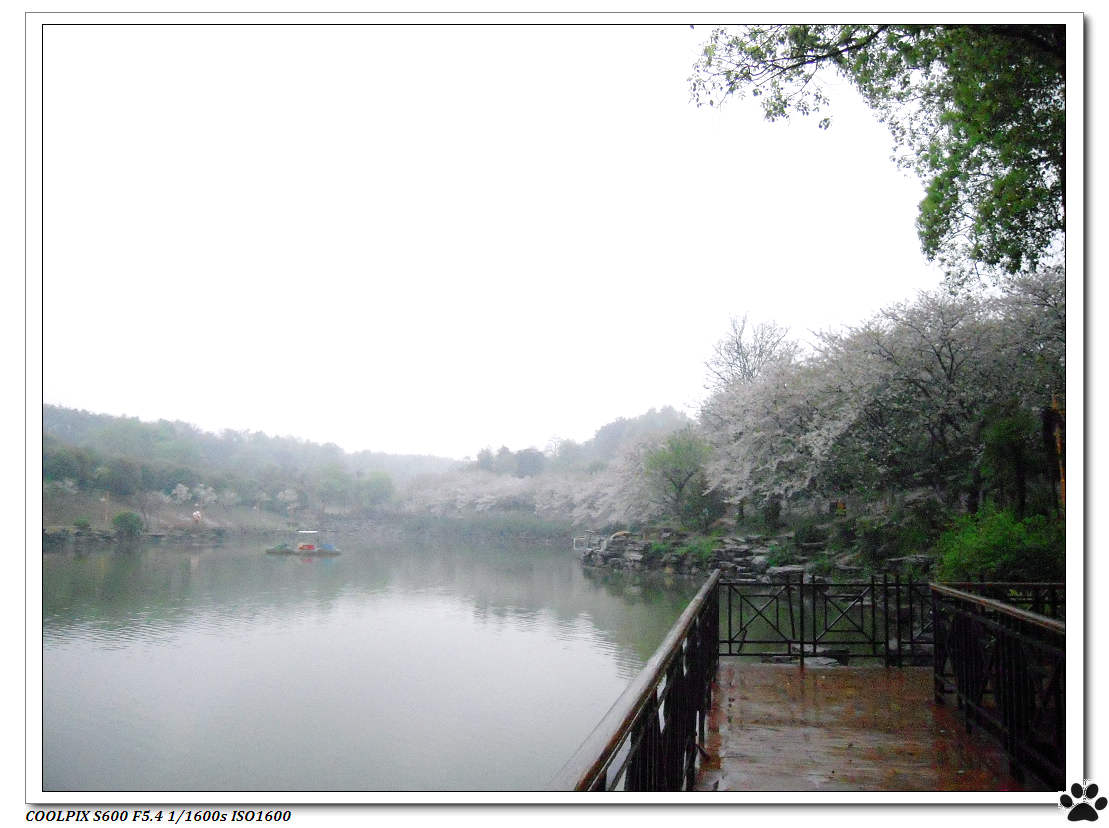 DSCN1015.JPG