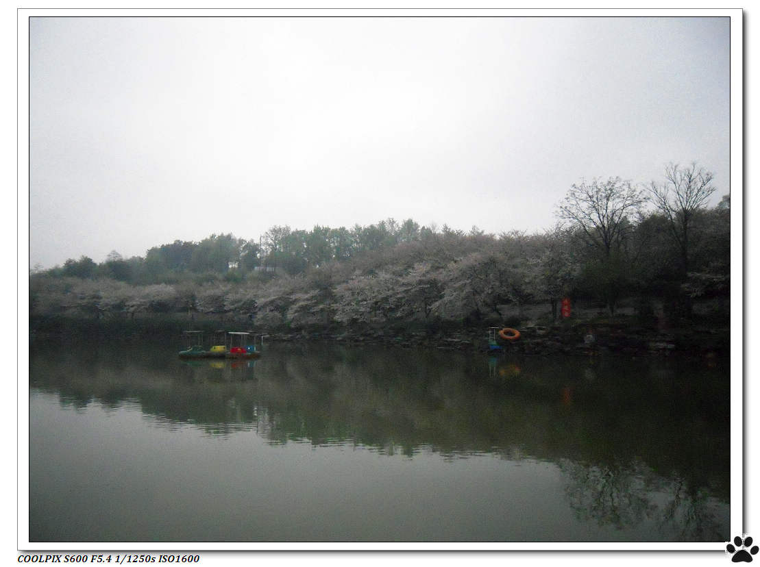 DSCN1019.JPG