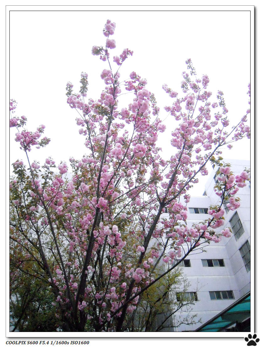 DSCN1021.JPG