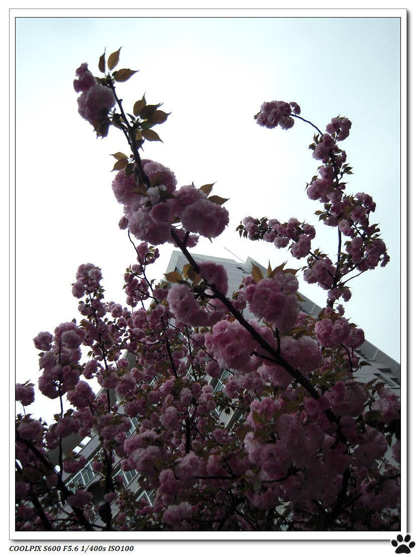 DSCN1022.JPG