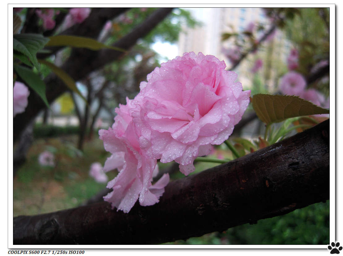 DSCN1024.JPG