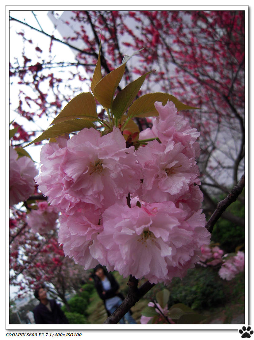 DSCN1027.JPG