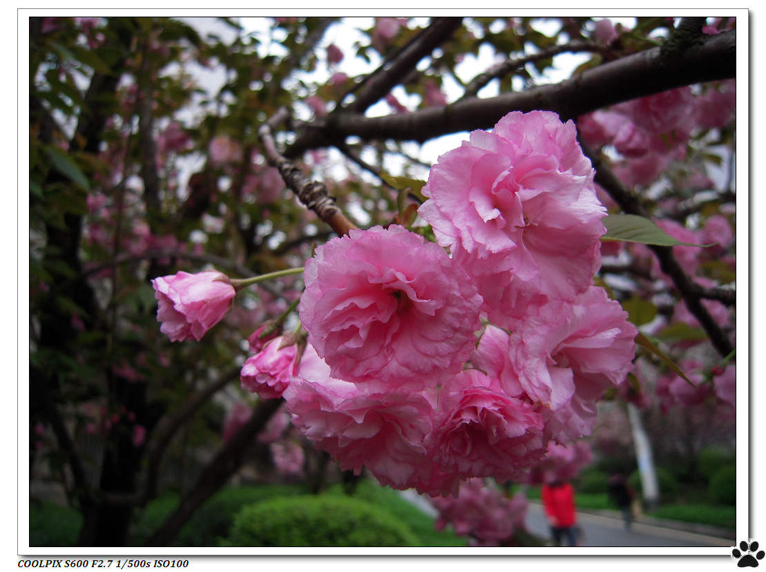 DSCN1041.JPG