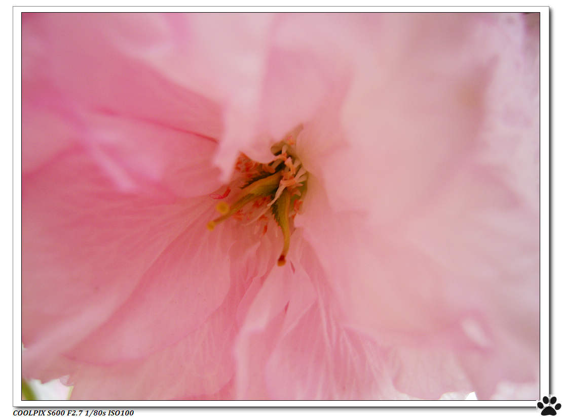 DSCN1054.JPG