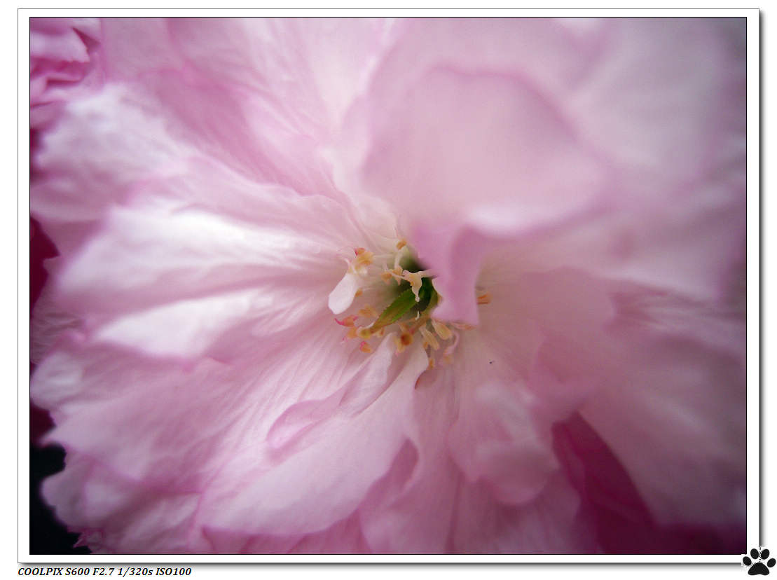 DSCN1043.JPG