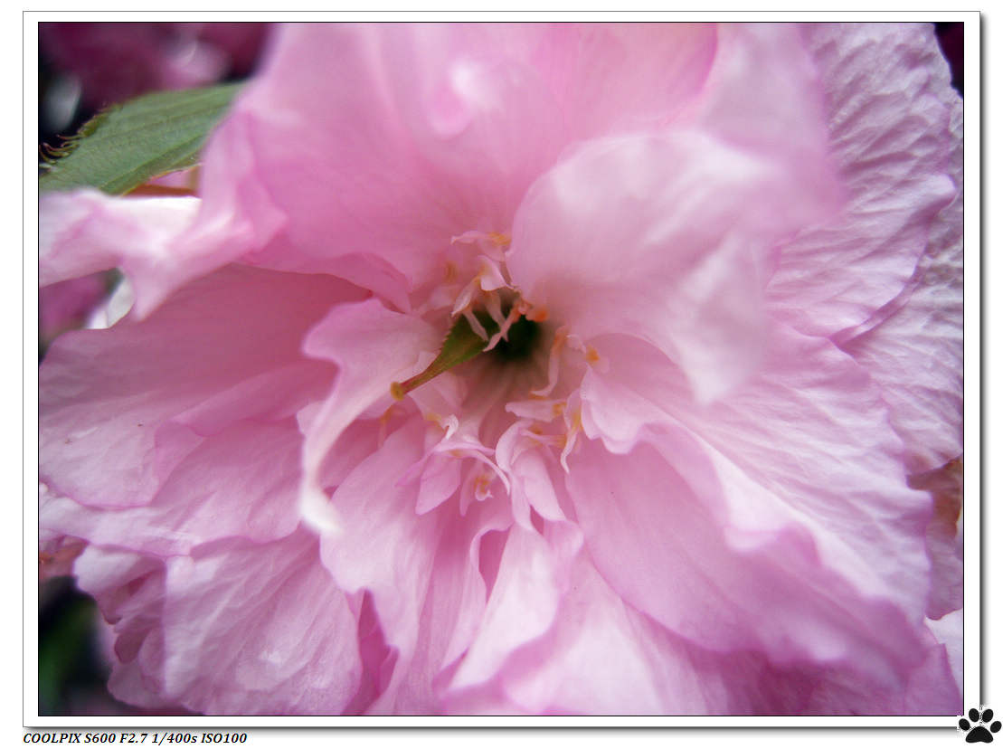 DSCN1042.JPG