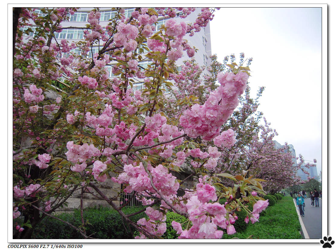 DSCN1044.JPG