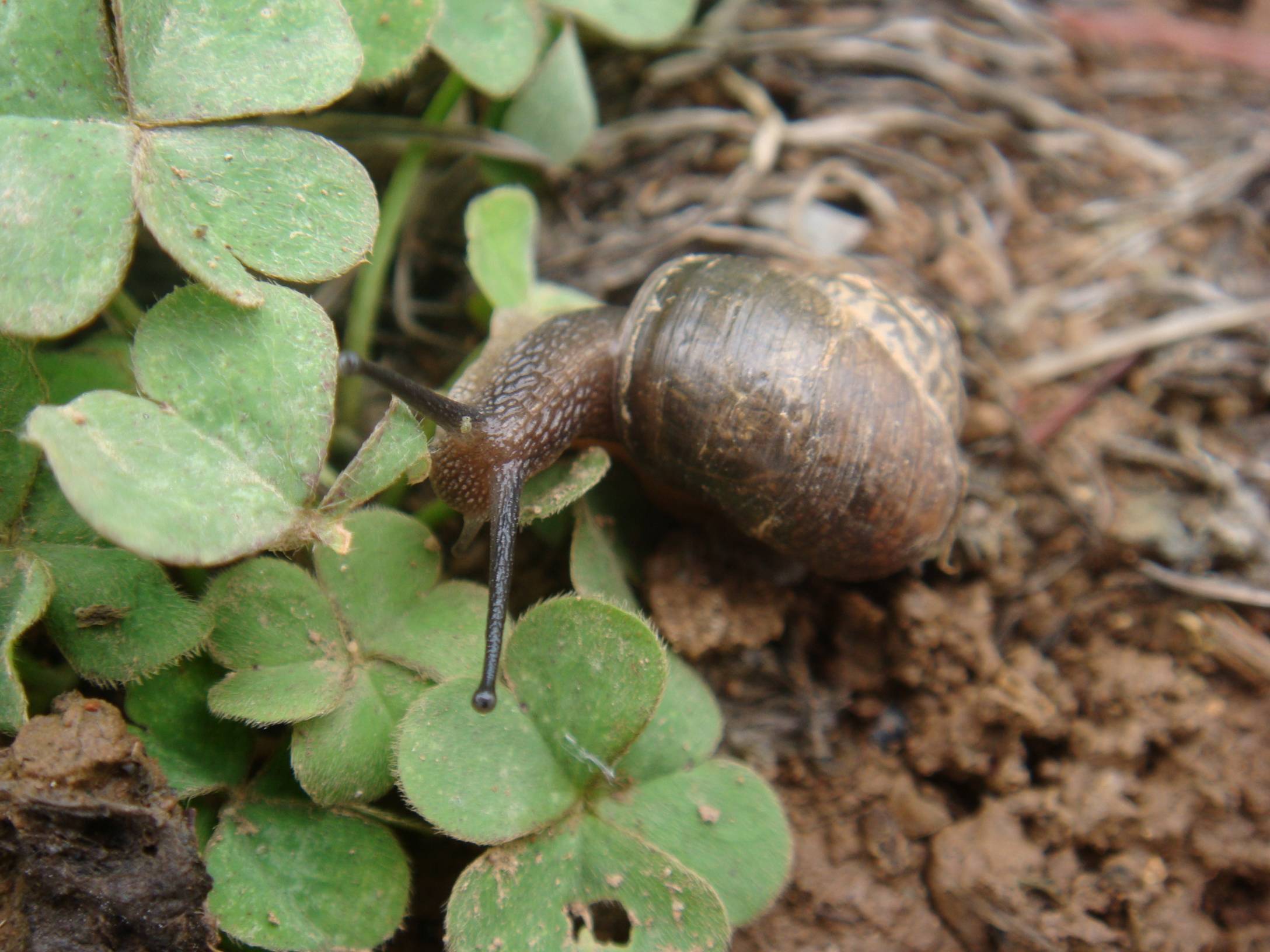 image001.jpg