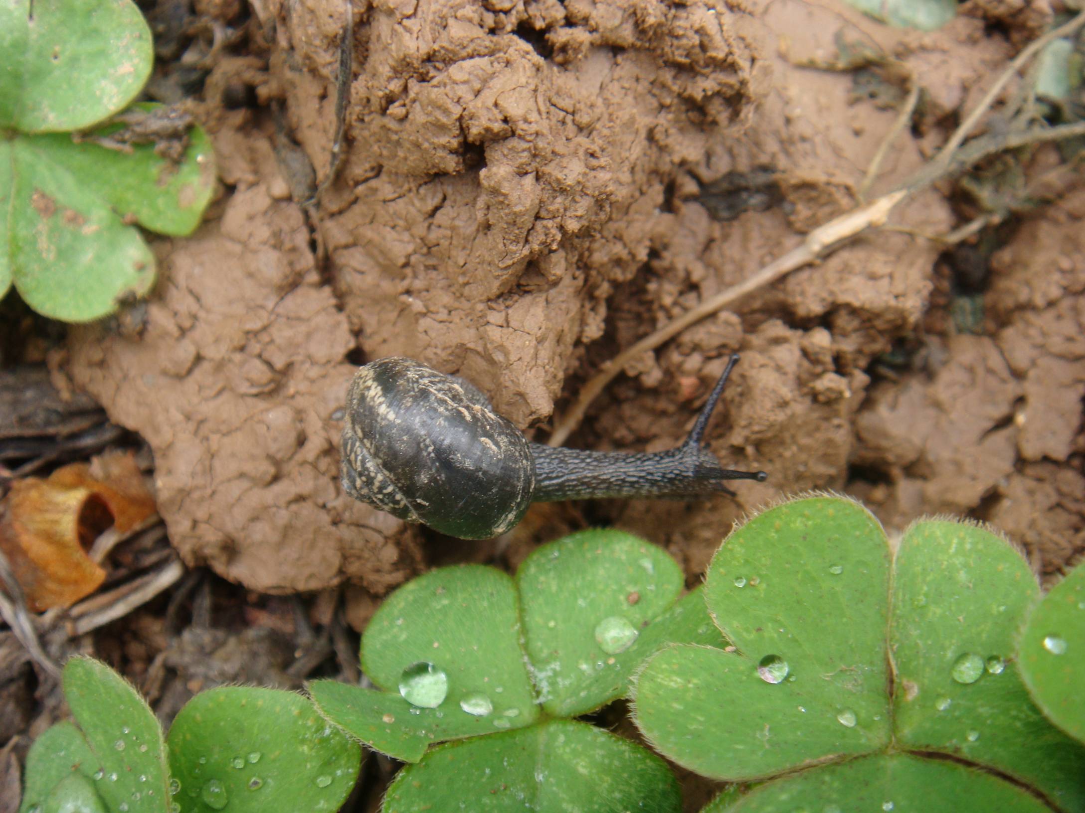 image001.jpg