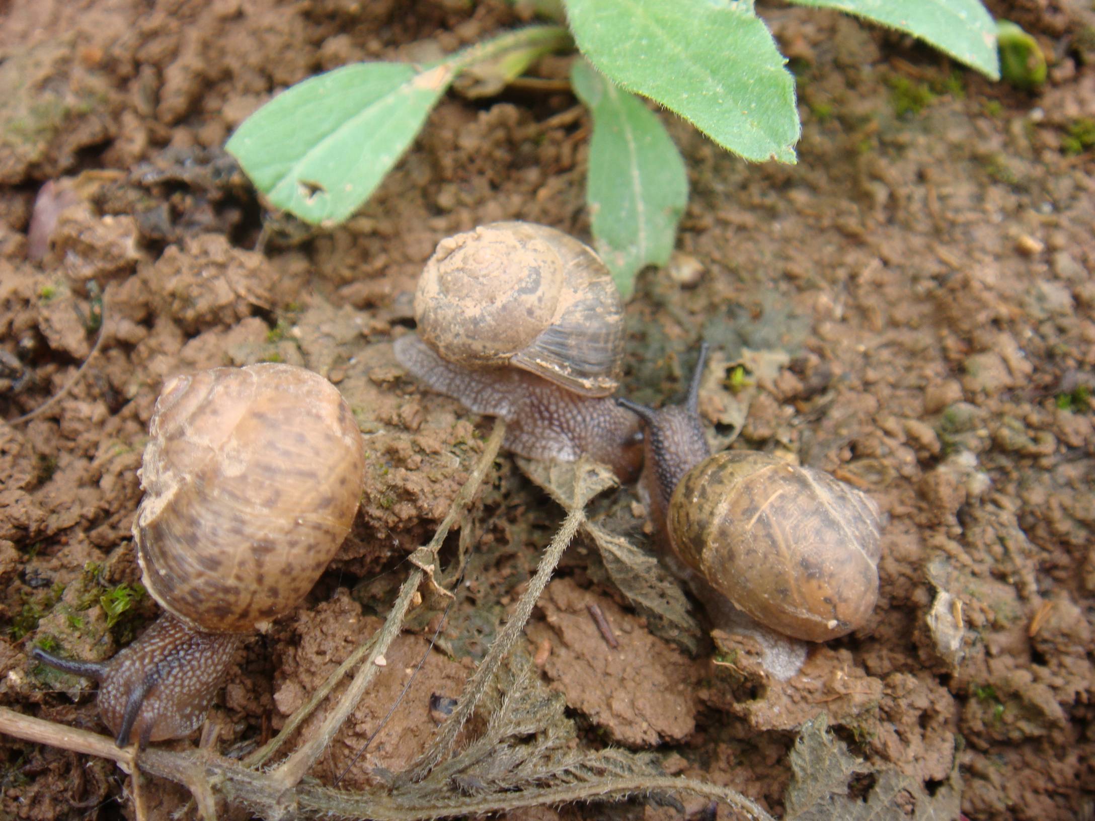 image001.jpg