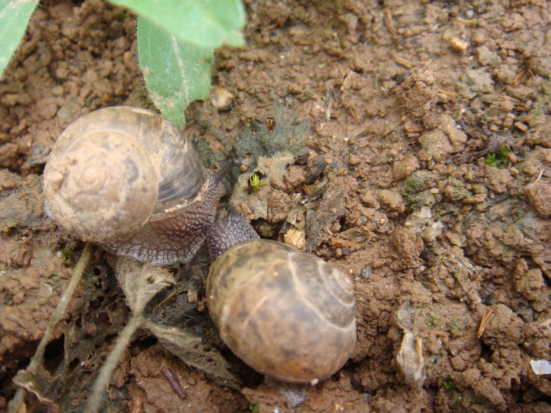 image001.jpg