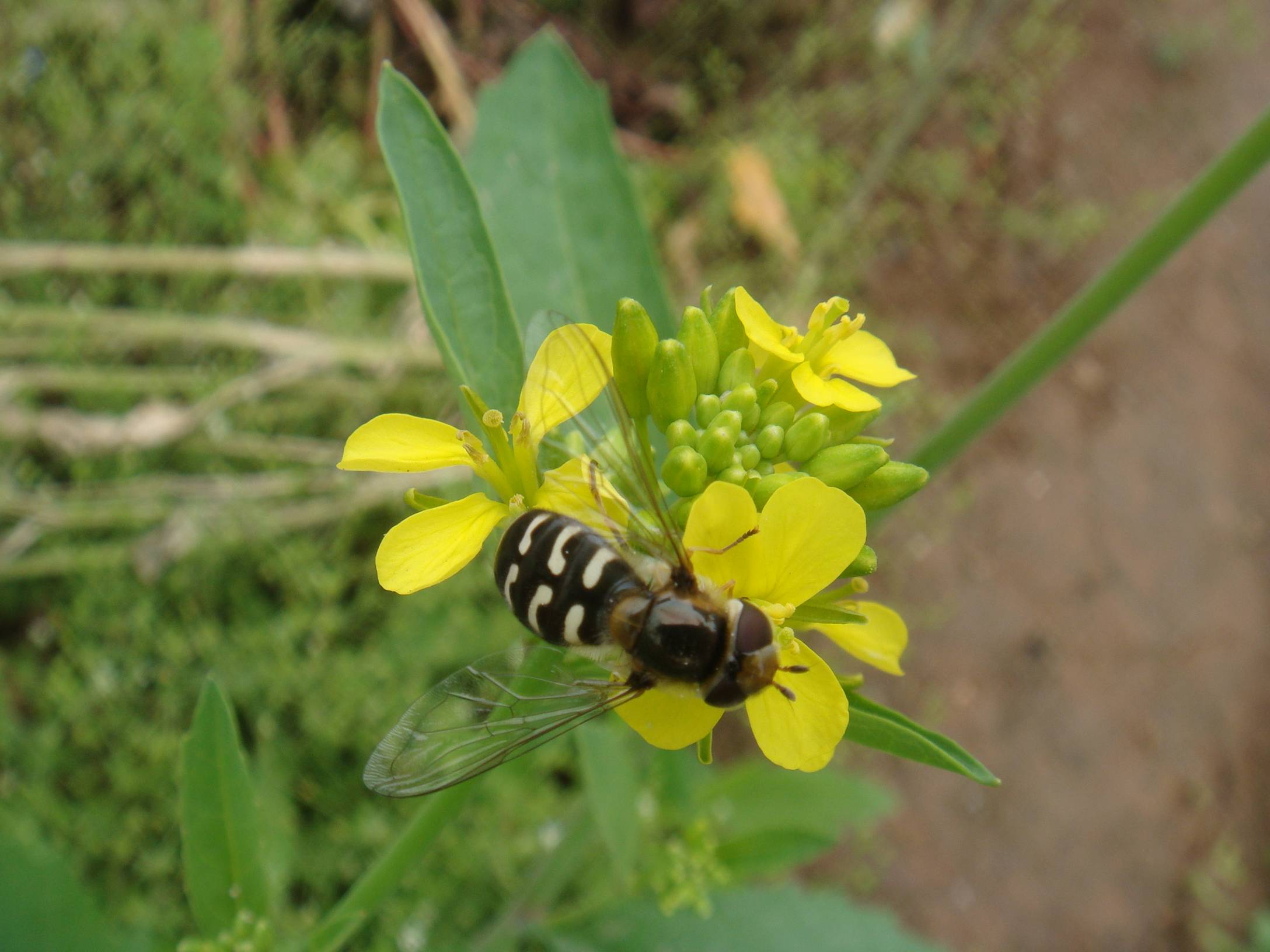 image001.jpg