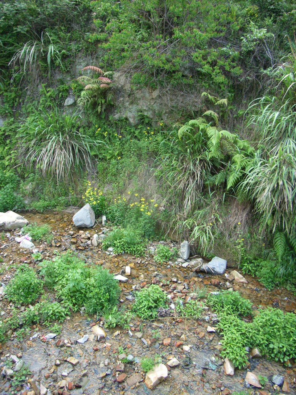 RIMG0020.JPG