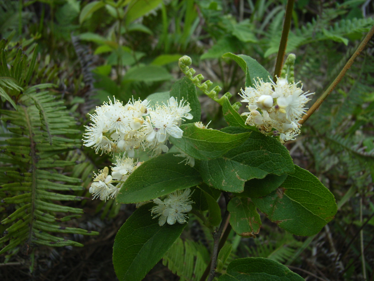 RIMG0055.JPG