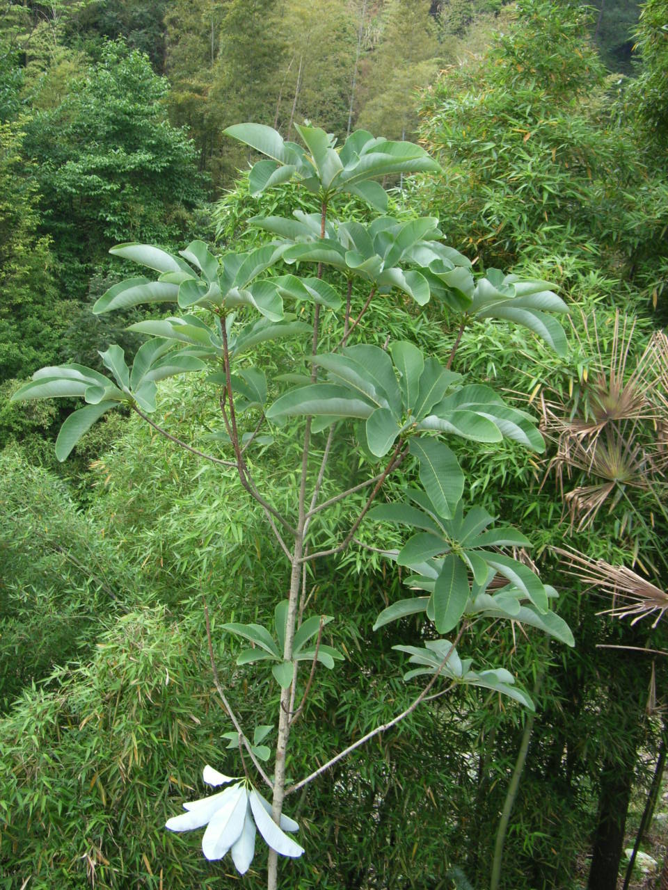 RIMG0048.JPG