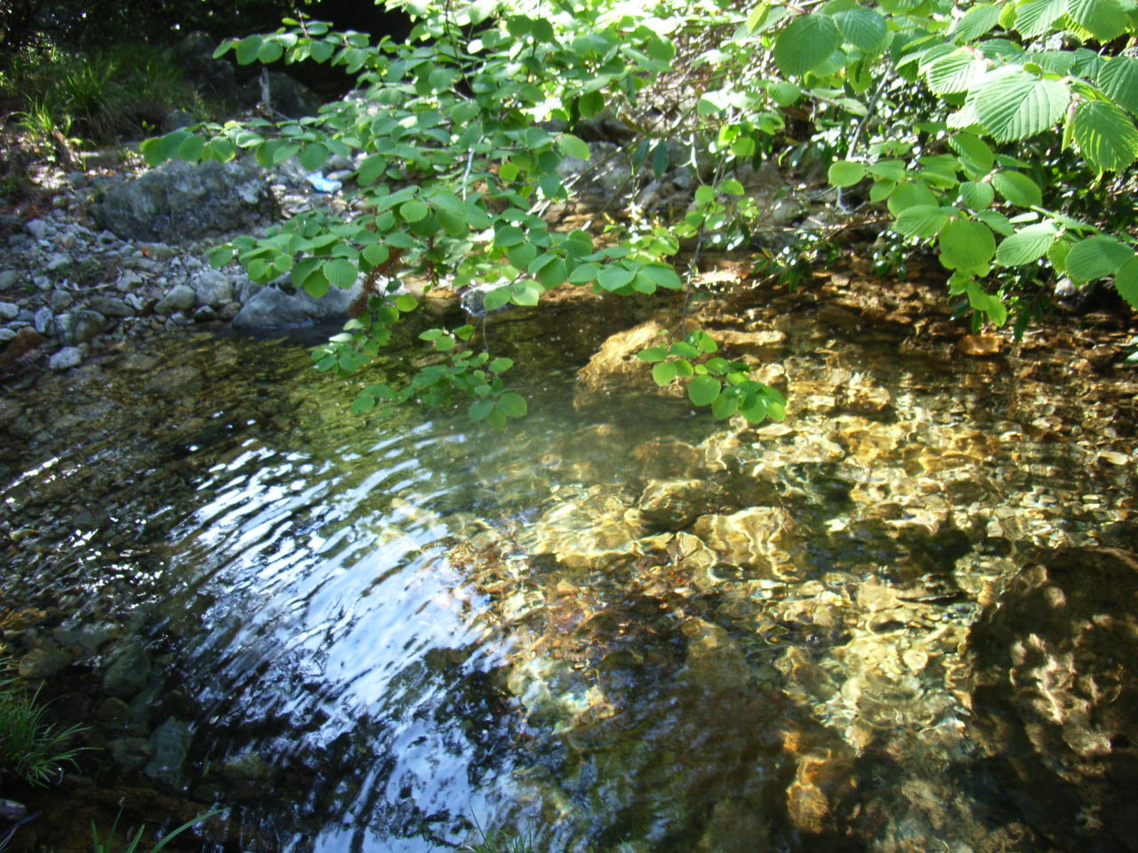 RIMG0157.JPG