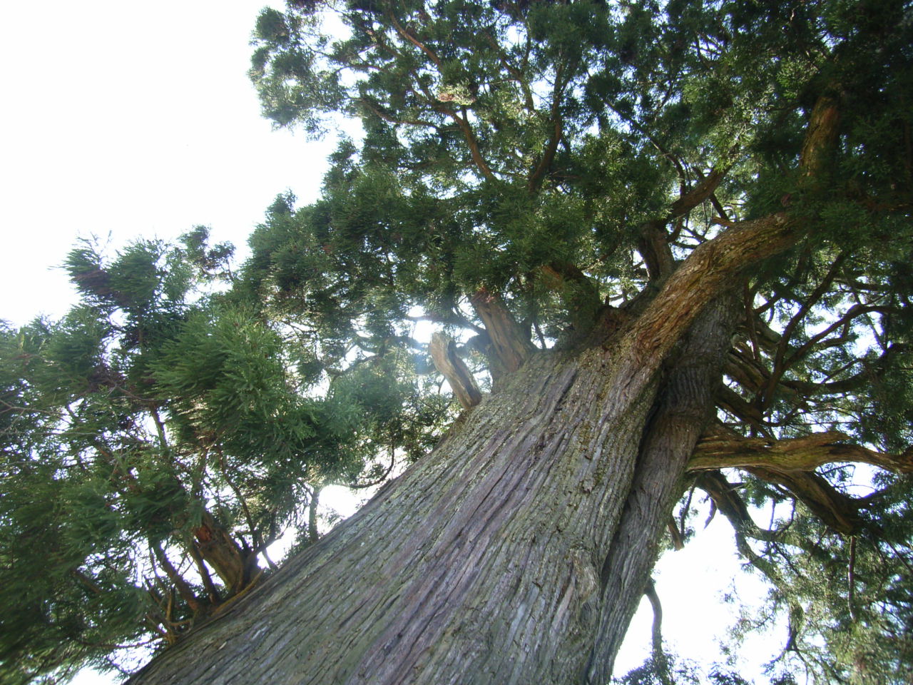 RIMG0091.JPG