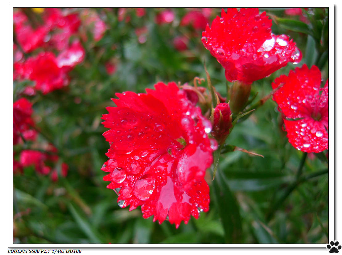 DSCN0972.JPG