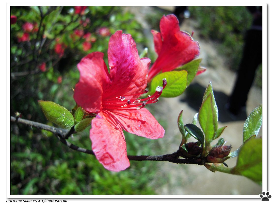DSCN1653.JPG