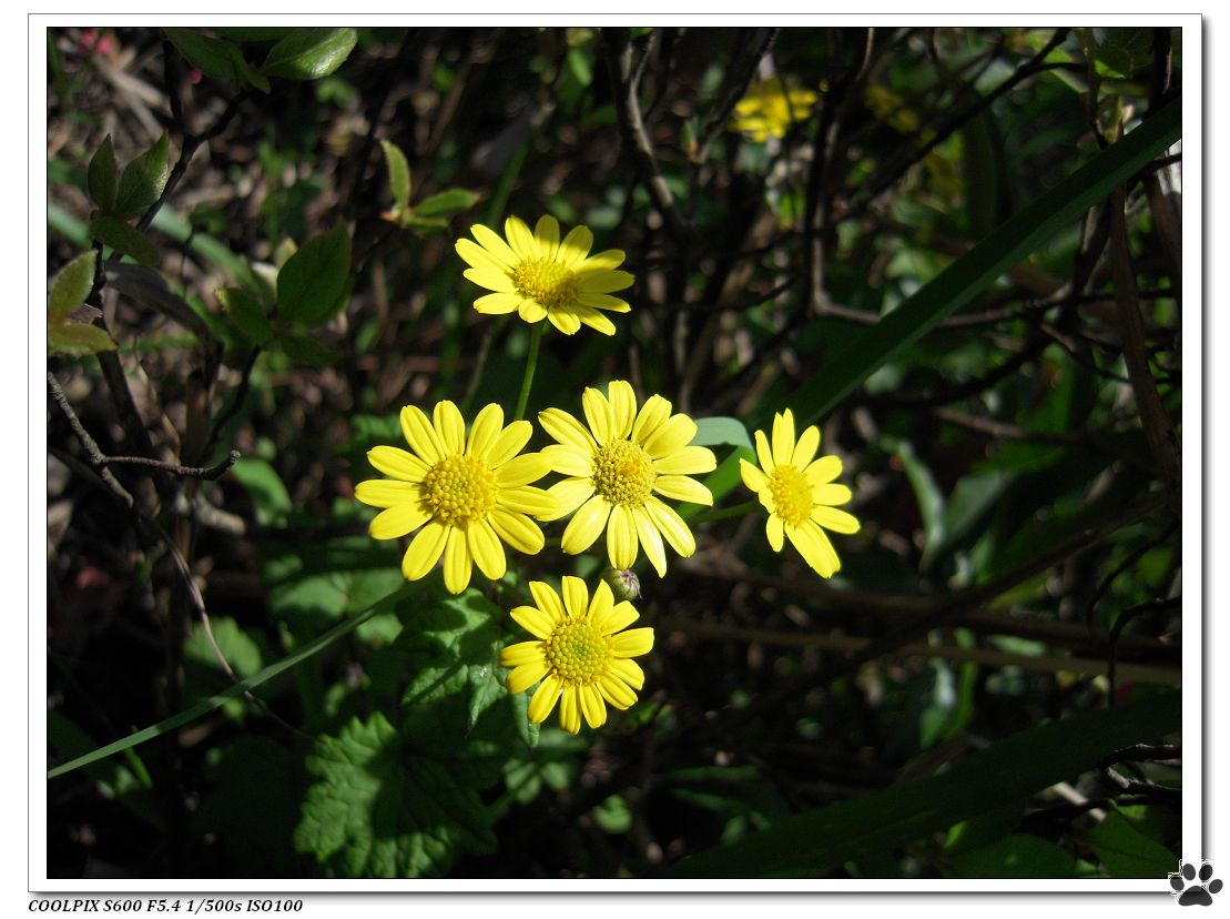 DSCN1652.JPG
