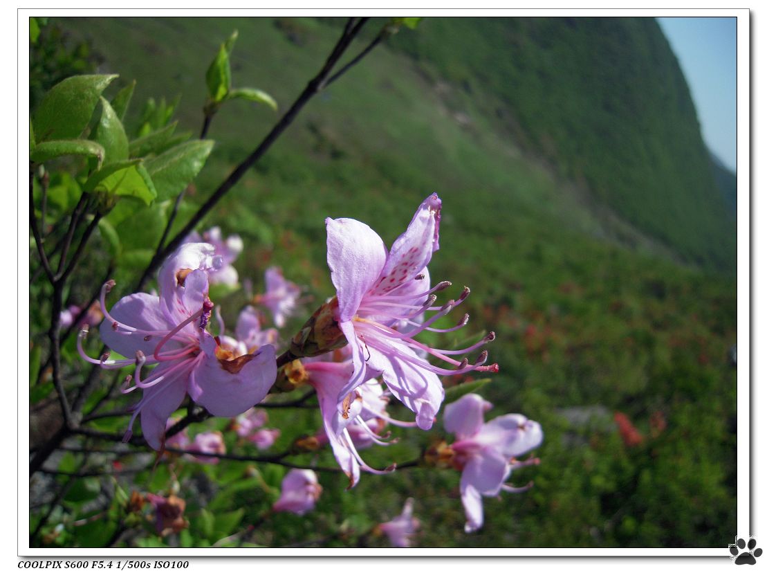 DSCN1680.JPG