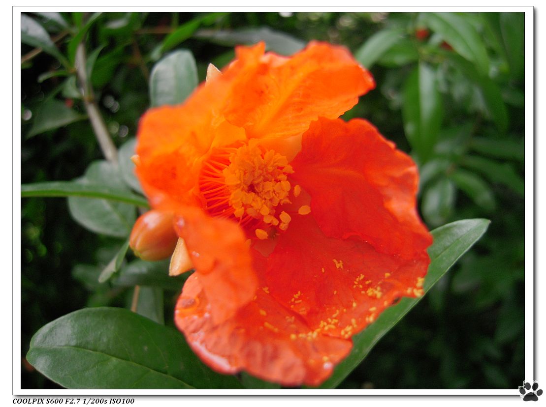 DSCN1842.JPG