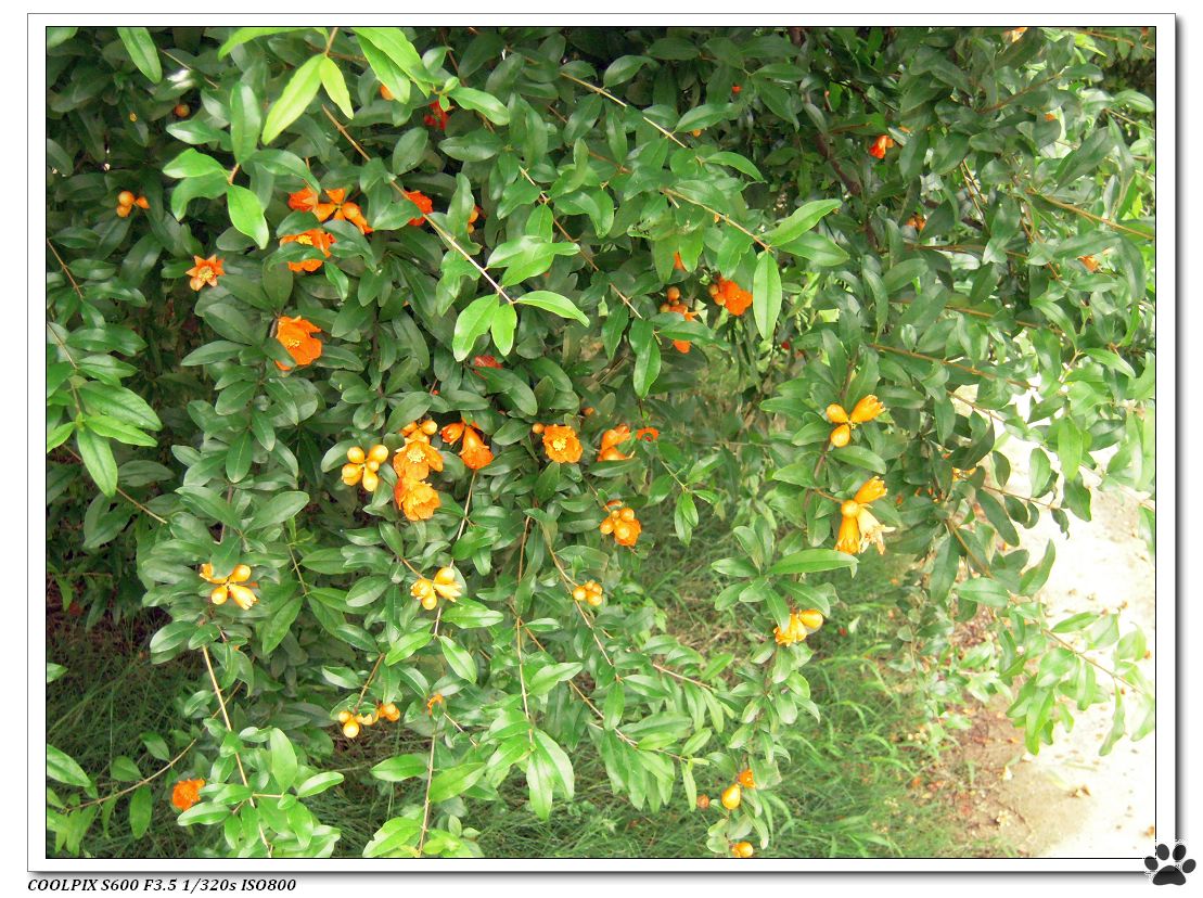 DSCN1855.JPG