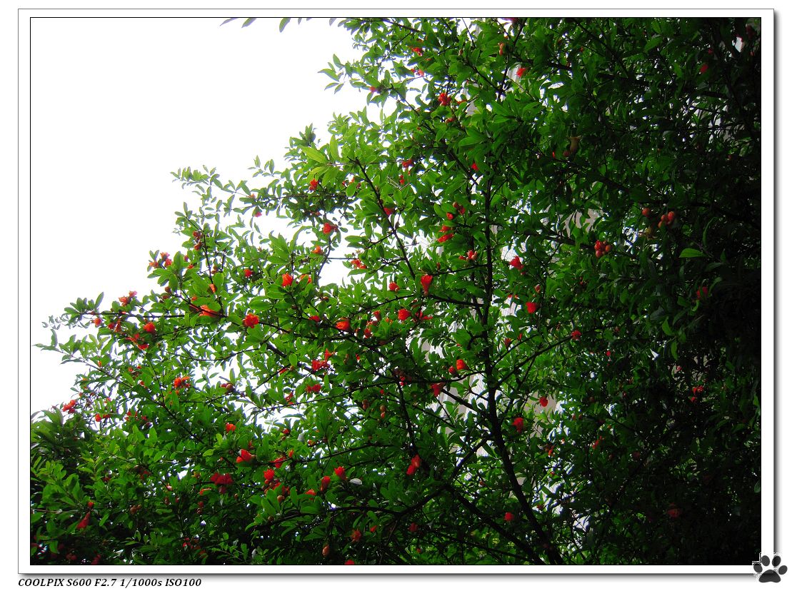 DSCN1861.JPG