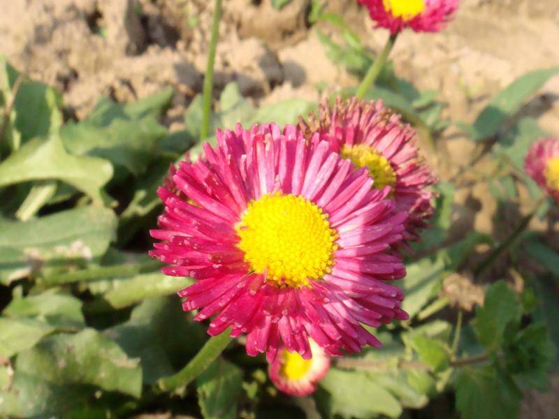 image001.jpg