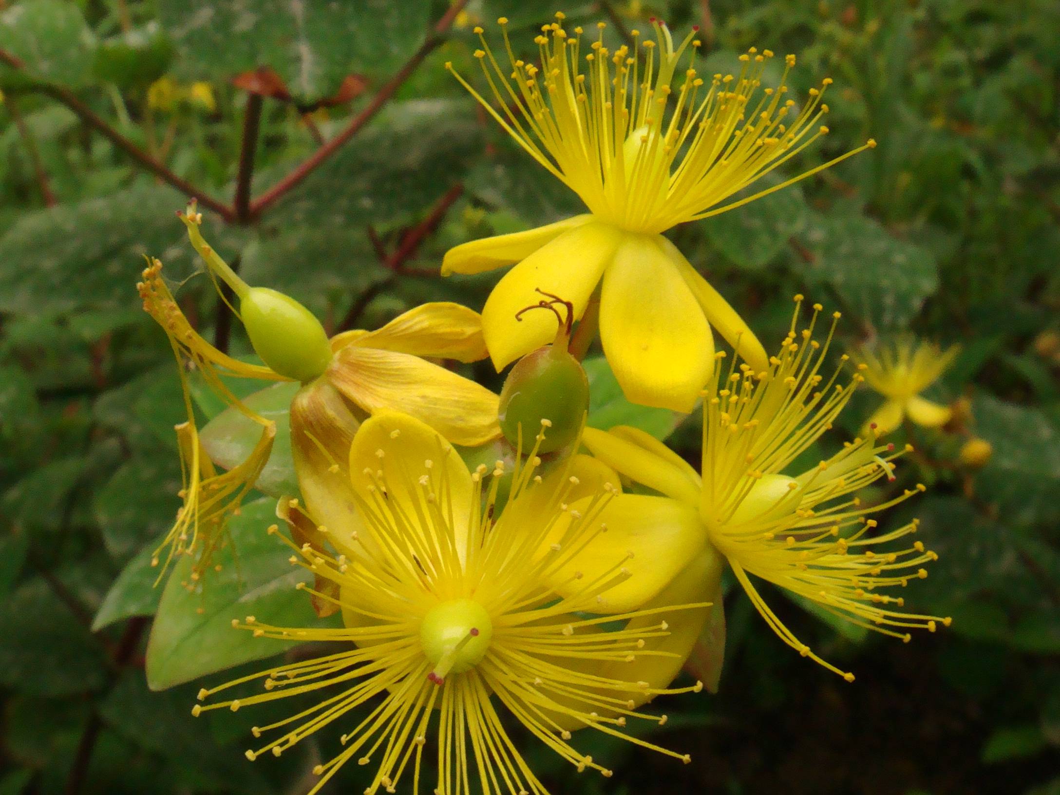 image001.jpg