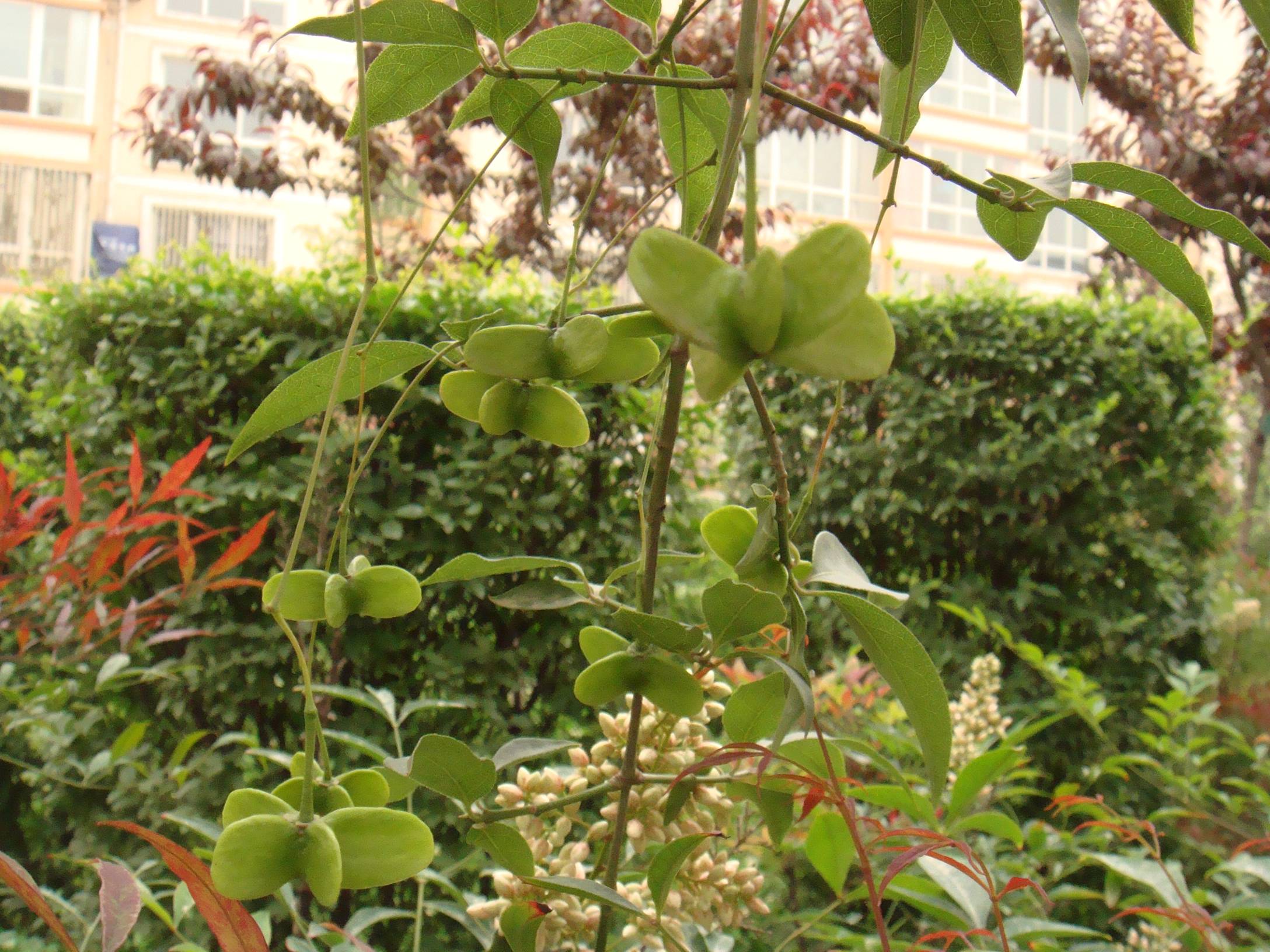 image001.jpg