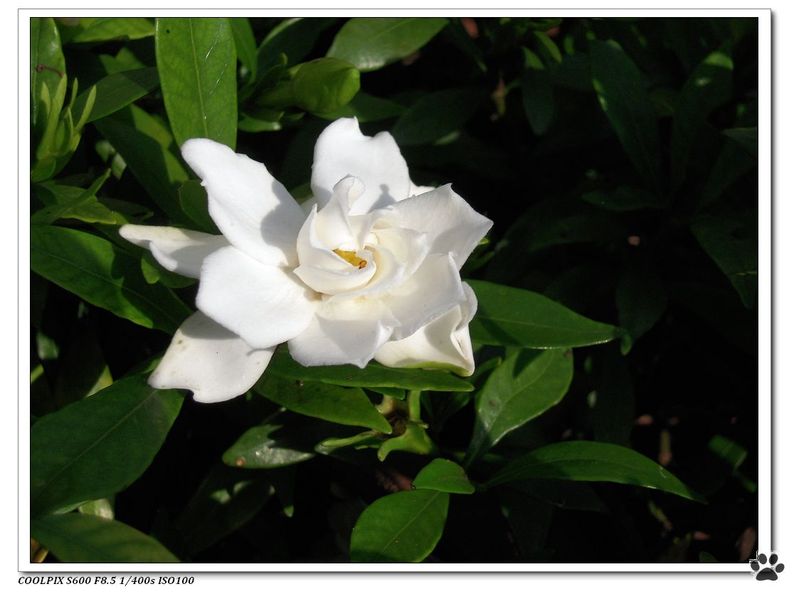 DSCN2080.JPG