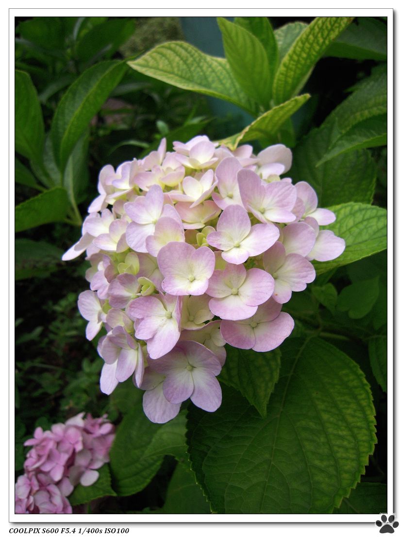DSCN2190.JPG