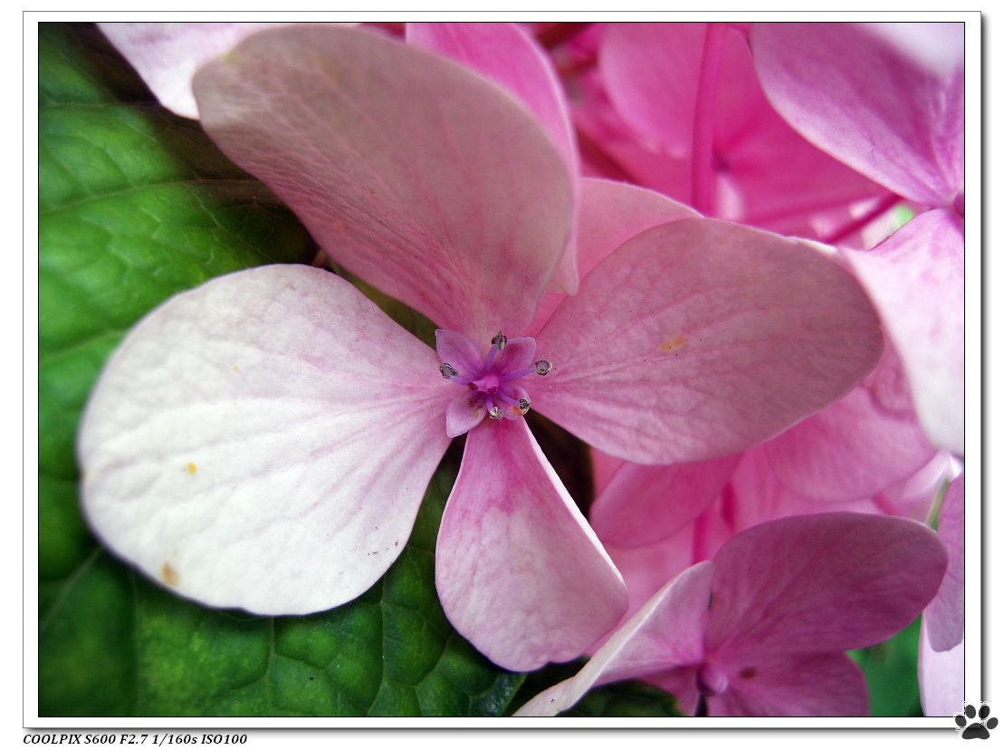 DSCN2189.JPG