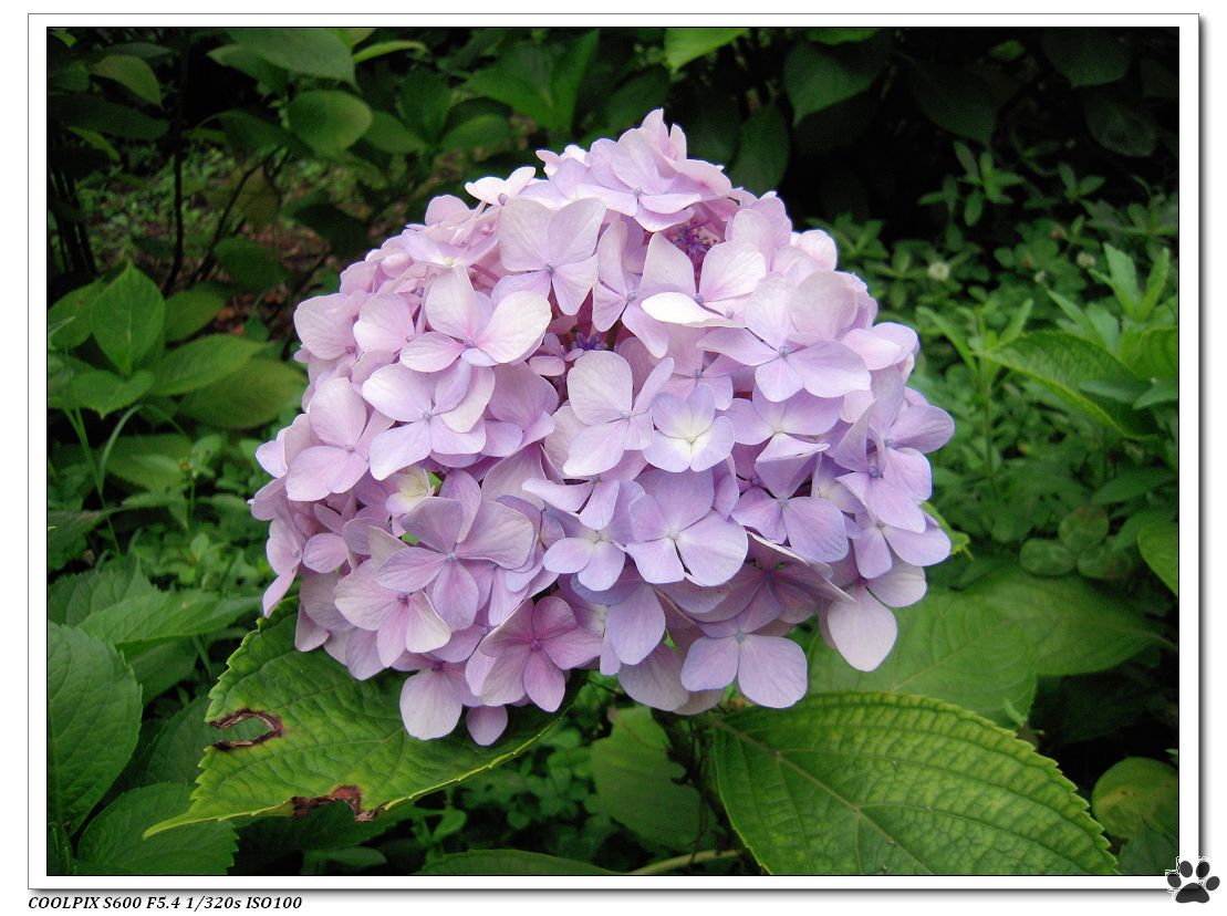 DSCN2187.JPG