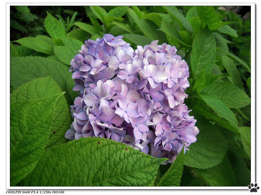 DSCN2191.JPG