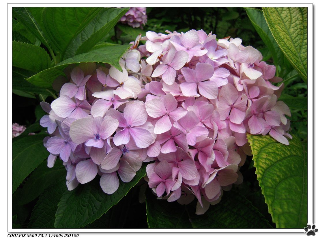 DSCN2192.JPG
