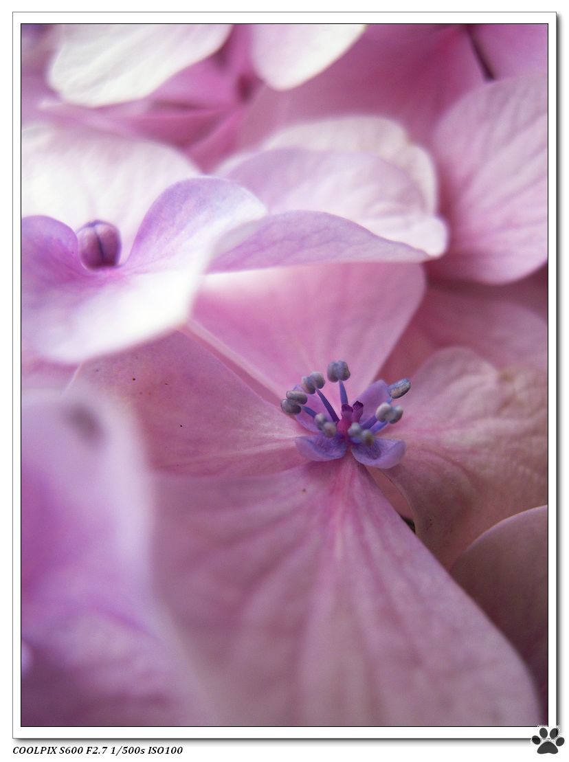 DSCN2193.JPG