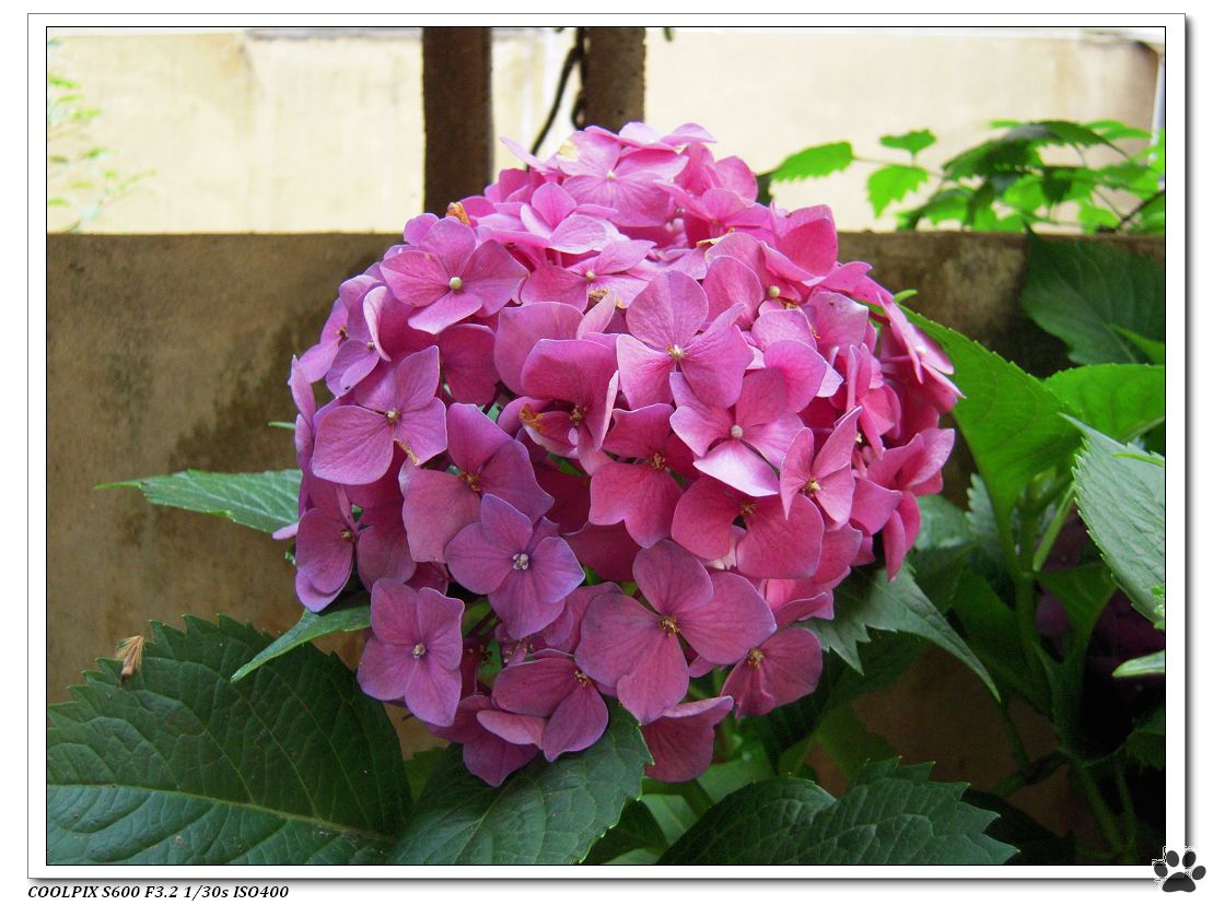 DSCN2233.JPG