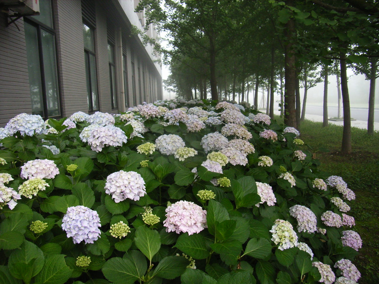 RIMG0070.JPG