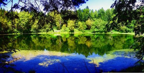 20080920220634925.jpg