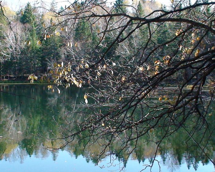 W020071225358278603244.jpg