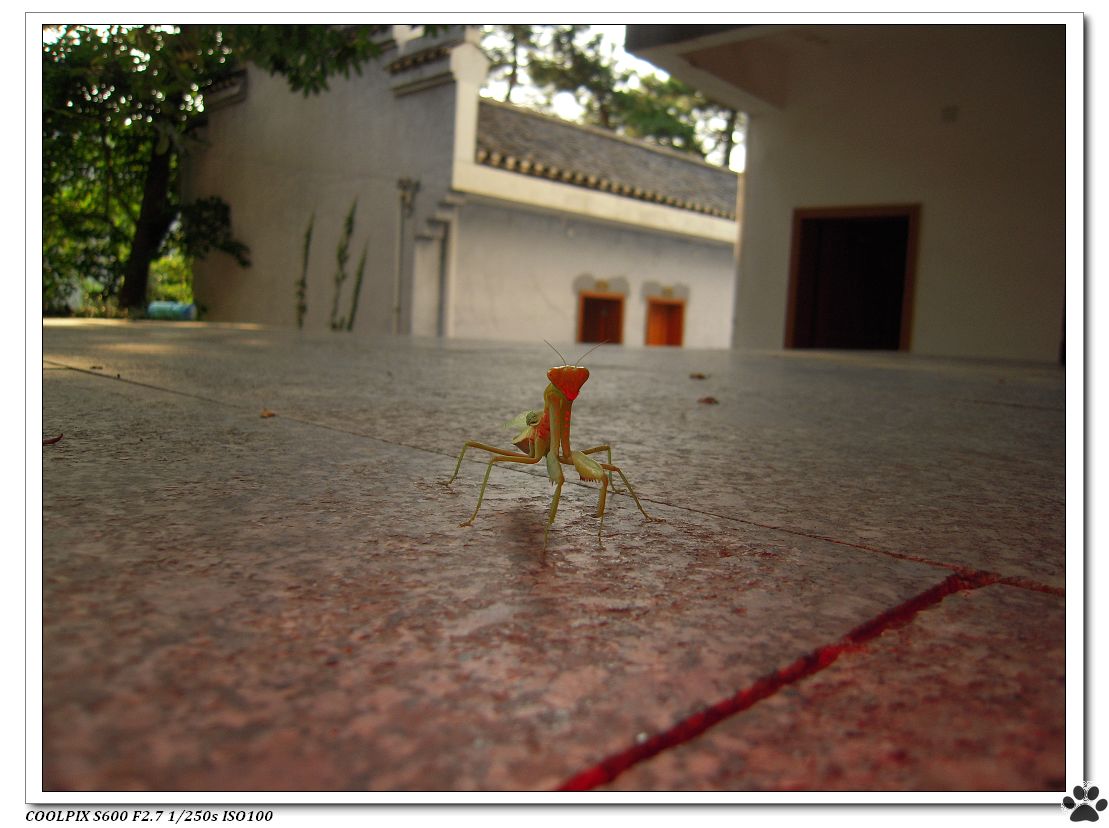DSCN2770.JPG