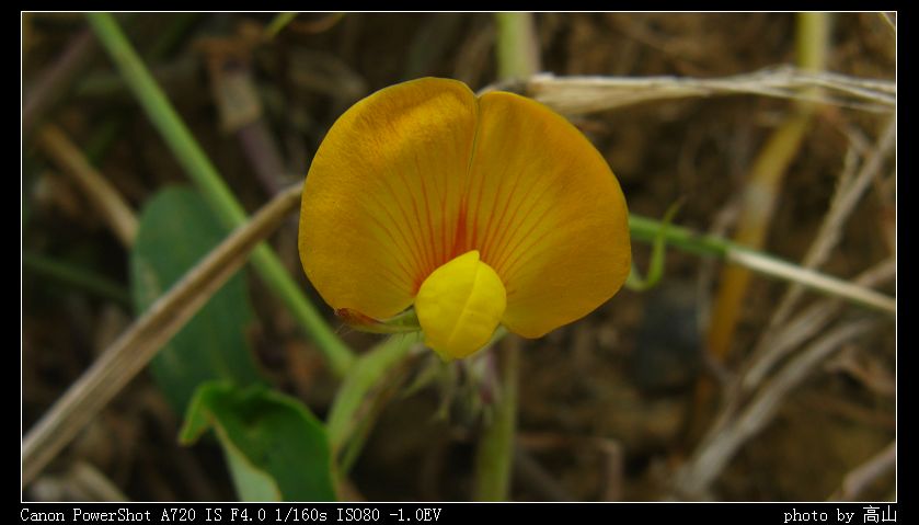 IMG_0070.JPG