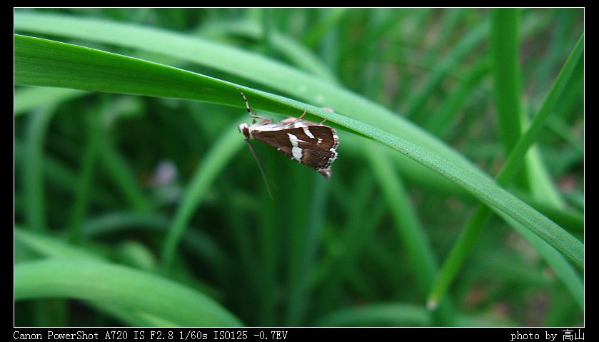 IMG_0051.JPG