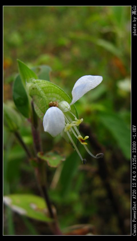 IMG_0006.jpg