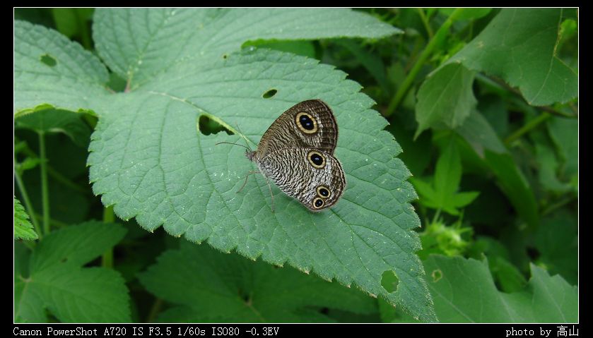 IMG_0015.jpg
